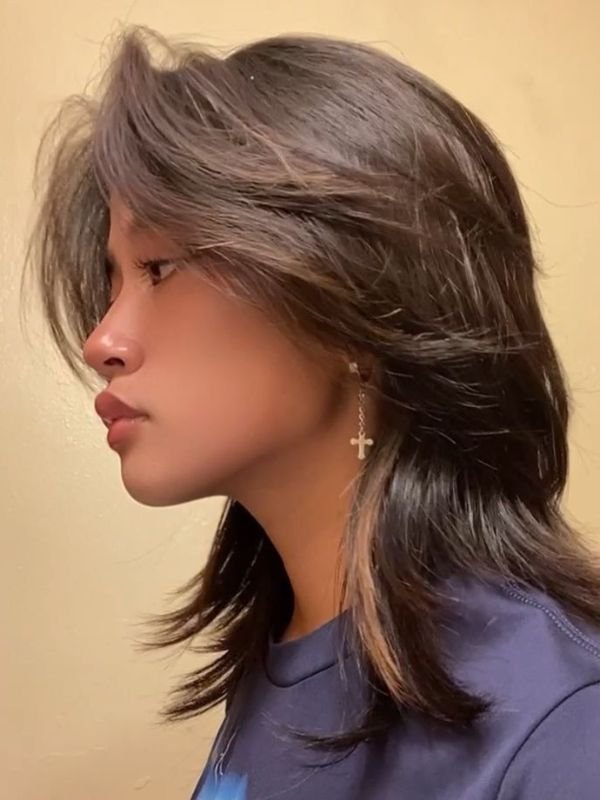 Wolf Cut Mullet