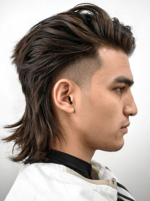 Editorial Volume Mullet