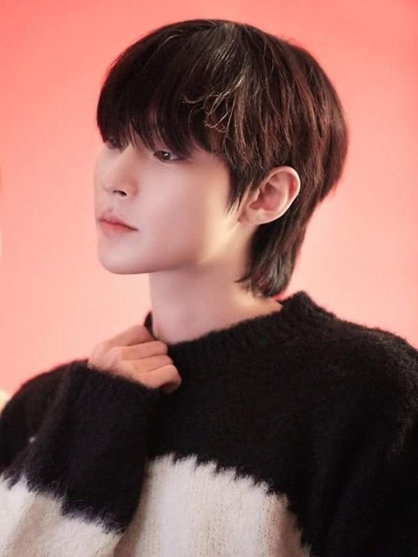 Korean Fluffy Mullet
