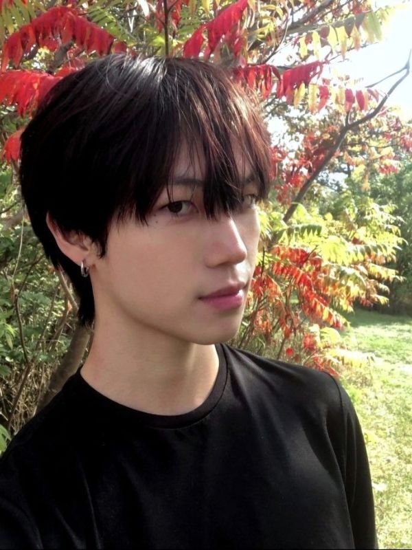 Korean Middle Part Mullet
