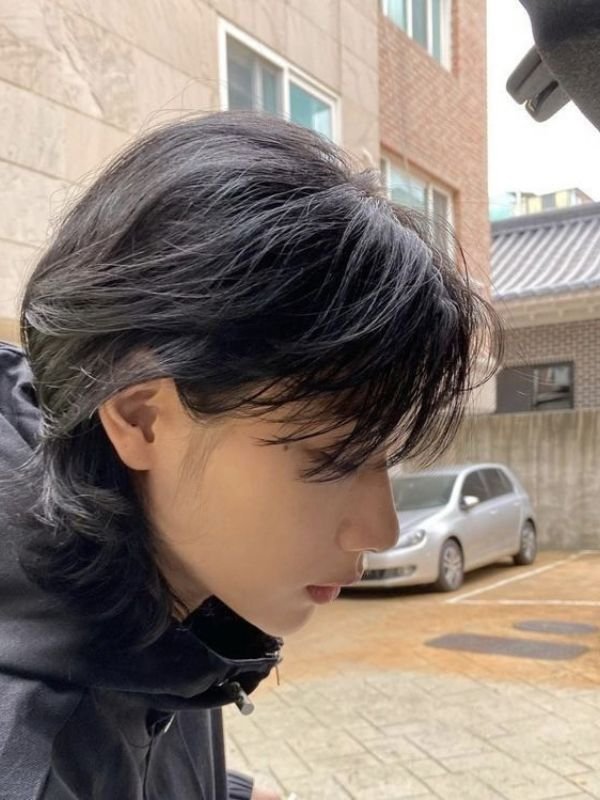 Korean Soft Mullet